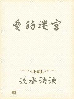 爱的迷宫