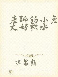 老师的小兔子好大好软水