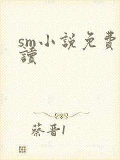 sm小说免费阅读