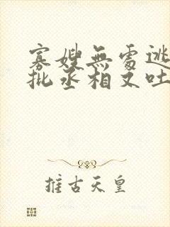 寡嫂无处逃,疯批丞相又吐血了封面