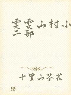 雯雯山村小说第二部