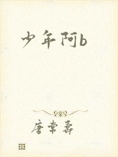 少年阿b封面
