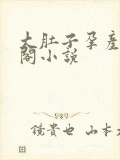 大肚子孕产笔趣阁小说封面