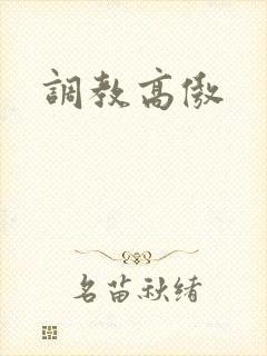 调教高傲