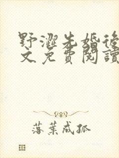 野涩先婚后爱全文免费阅读笔趣阁封面