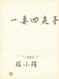 一妻四夫手记封面