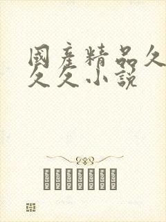 国产精品久久久久久小说封面