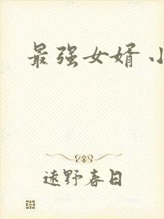 最强女婿 小说封面