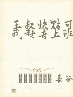 王叔快点可以吗我赶去上班封面