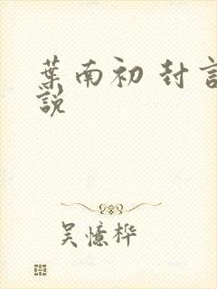 叶南初 封言小说