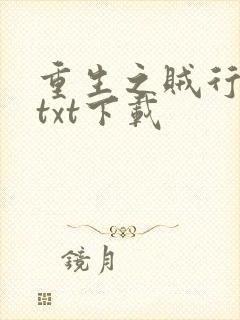重生之贼行天下txt下载