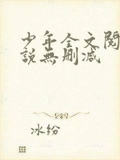 少年全文阅读小说无删减