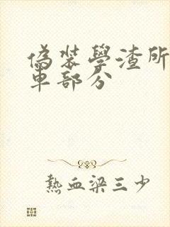 伪装学渣所有开车部分