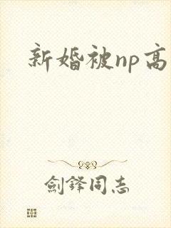 新婚被np高h