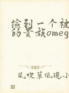 捡到一个被抹布的贵族omega