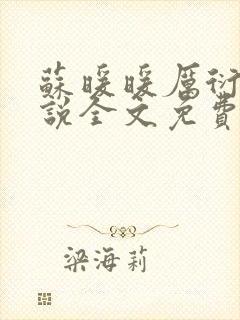 苏暖暖厉衍琛小说全文免费阅读