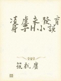 凌虐未发育的小身子H小说