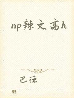 np辣文高h