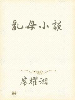 乱母小说