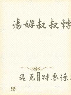 汤姆叔叔转接口