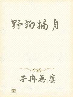 野狗摘月