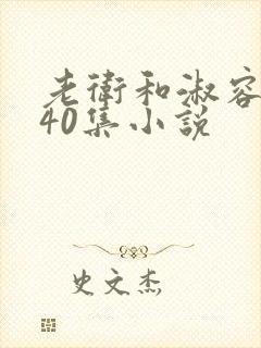 老卫和淑容1-40集小说封面