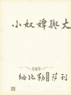 小奴婢与大少爷