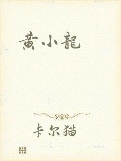 黄小龙封面