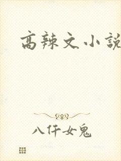 高辣文小说封面