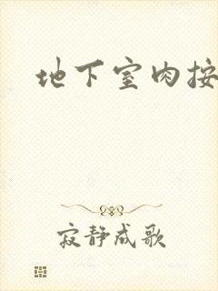 地下室肉按摩椅