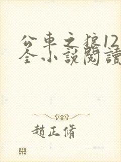 公车之狼12集全小说阅读