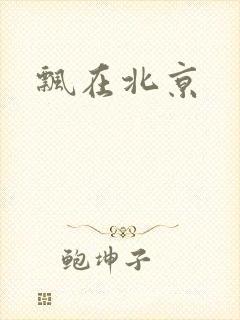 飘在北京