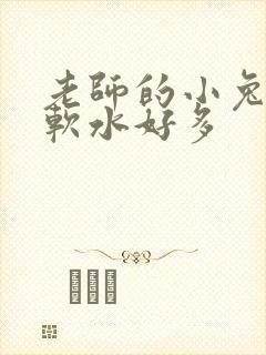 老师的小兔子好软水好多