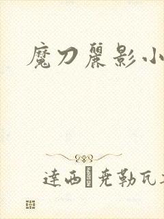 魔刀丽影小说