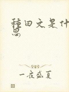 种田文是什么意思封面