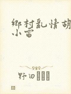 乡村乱情胡秀英小雷封面