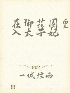 在御花园皇上进入太子妃封面