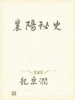 襄阳秘史