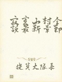 寂寞山村全部小说最新章节封面