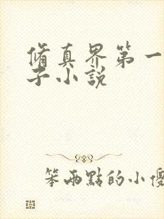 修真界第一病秧子小说