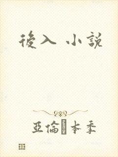后入 小说