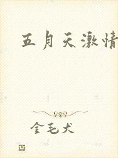 五月天激情小说封面