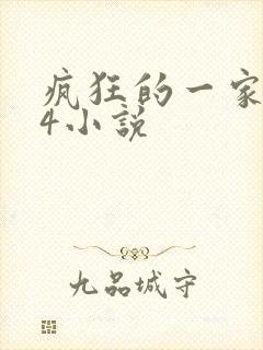 疯狂的一家ps4小说封面