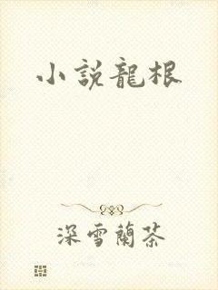 小说龙根