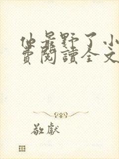 他最野了小说免费阅读全文