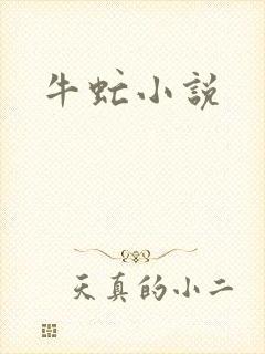牛虻小说