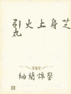 引火上身芝麻糖丸