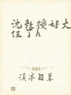 沈教授好大含不住了h