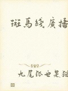 斑马线广播剧封面