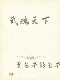 武魂天下
